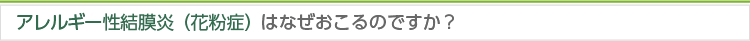 アレルギー性結膜炎（花粉症）はなぜおこるのですか？