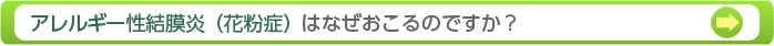 アレルギー性結膜炎（花粉症）はなぜおこるのですか？