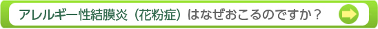 アレルギー性結膜炎（花粉症）はなぜおこるのですか？